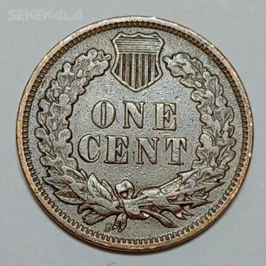 سکه کلکسیونی ۱ سنت قدیمی آمریکا ۱۹۰۶ ( سرخپوست )