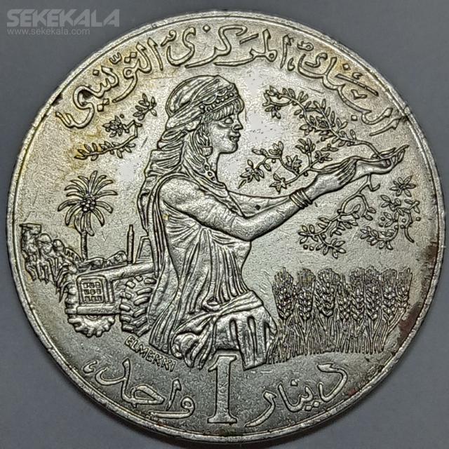 coin collection sekekala.com 030116 (369) سکه کمیاب 1 دینار تونس 1976 (جمهوری)