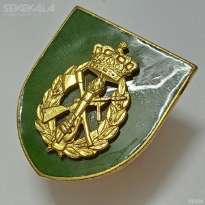 نشان سینه (بج) کمیاب پلیس دانمارک