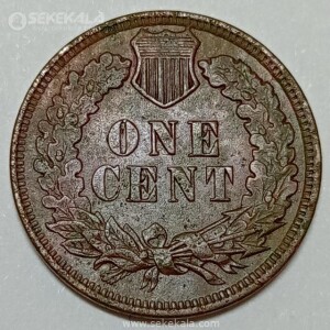 سکه 1 سنت قدیمی آمریکا 1901 (سرخپوست)