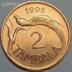 سکه کمیاب 2 تامبالا مالاوی 1995 (UNC)