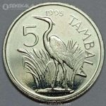 سکه کمیاب 5 تامبالا مالاوی 1995 (UNC)