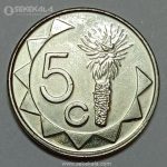 سکه 5 سنت کمیاب نامیبیا 2015 (UNC)
