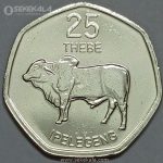 سکه کمیاب 25 تبه بوتسوانا 2013 (UNC)