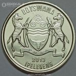 سکه کمیاب 50 تبه بوتسوانا 2013 (UNC)