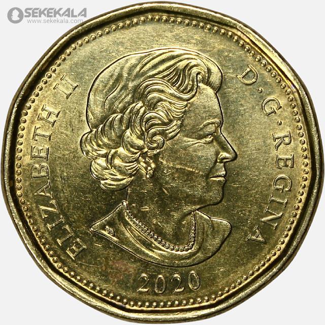 coin colletion store sekekala.comسکه خارجی 040704 (66) سکه 1 دلار کانادا 2020 (الیزابت)(AU)