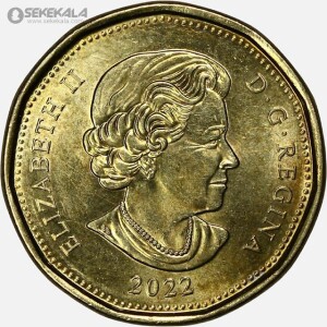 سکه 1 دلار کانادا 2022 (الیزابت)(+AU)