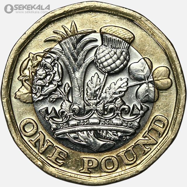 coin colletion store sekekala.comسکه خارجی 040704 (507) سکه 1 پوند دوفلزی انگلیس 2017 (ملکه الیزابت)(AU)