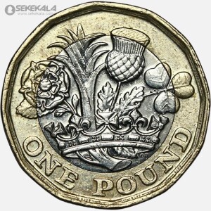 سکه 1 پوند دوفلزی انگلیس 2019 (ملکه الیزابت)(AU)