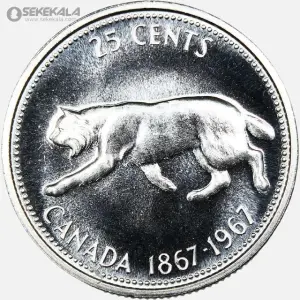 سکه 25 سنت پروف نقره یادبودی کانادا 1967 (الیزابت)(PF)