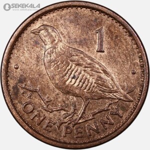 سکه 1 پنی کمیاب جبل الطارق 1996