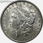 سکه 1 دلار آمریکا 1889 (مورگان ـ Morgan)