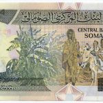 اسکناس 50 شیلینگ سومالی 1991 (UNC)