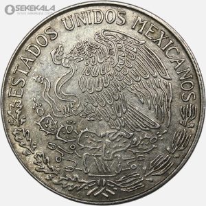 سکه 1 پزو مکزیک 1980